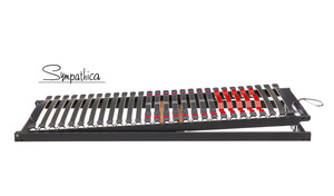 Rahmen Sympathica Vision Reflux